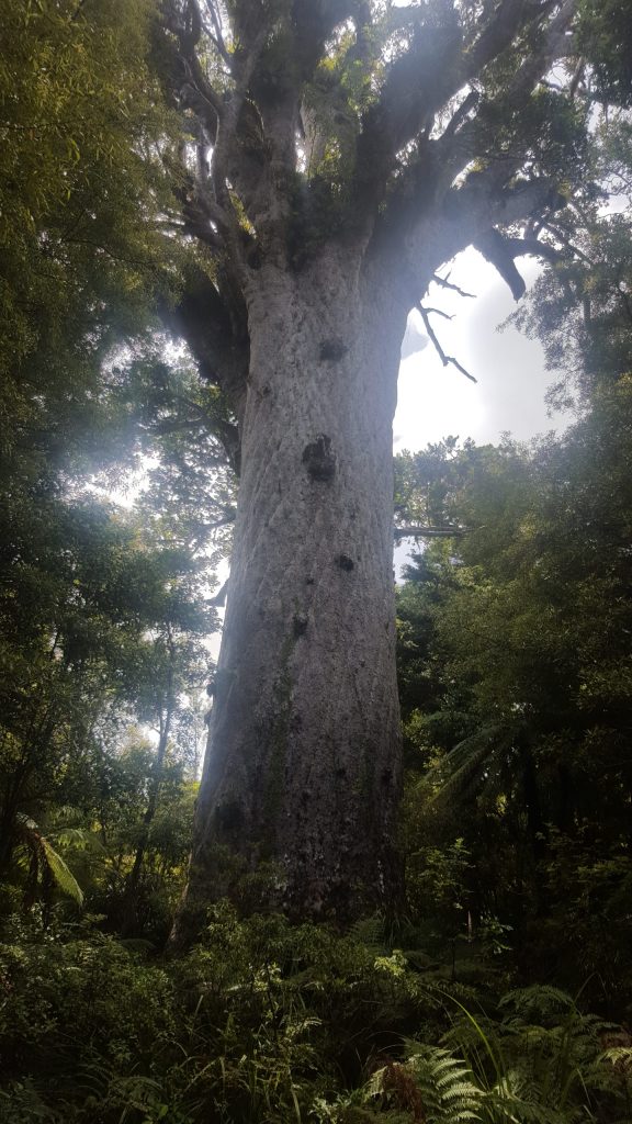 20191226_000754-scaled.jpg