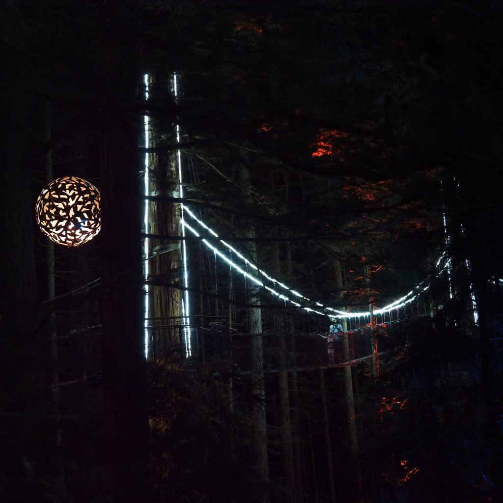 24.treewalks.jpg