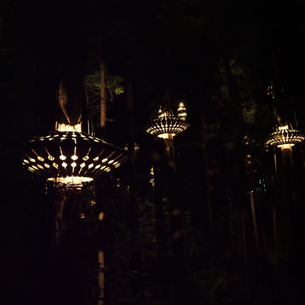 25.treewalks.jpg