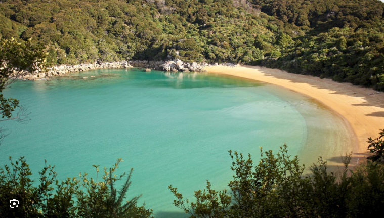 54.2.-Abel-tasman.png